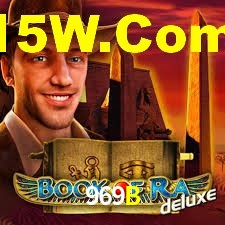 Premium Interface 969B